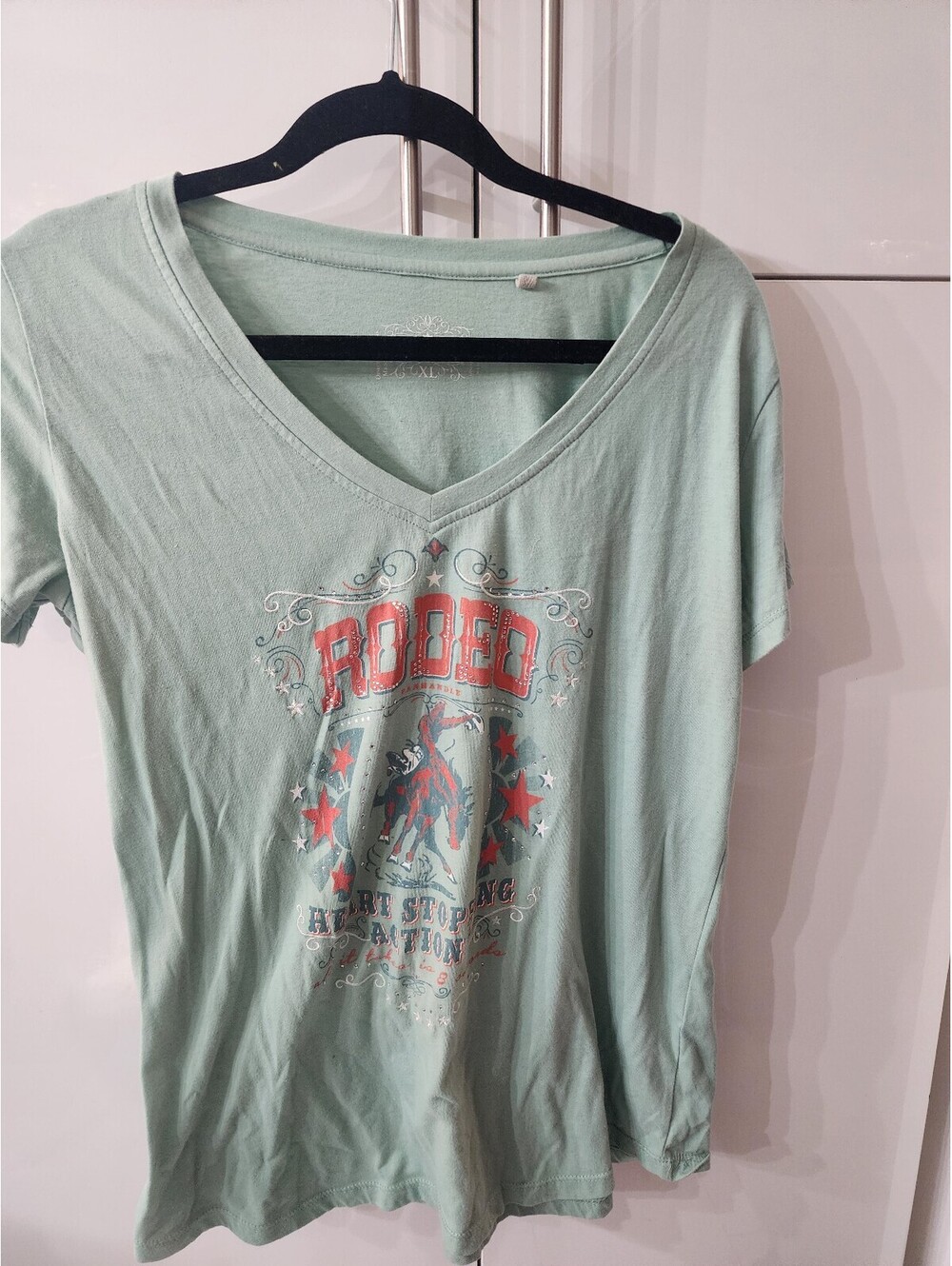 Panhandle XL Rodeo Graphic V-Neck T-Shirt in Light Green